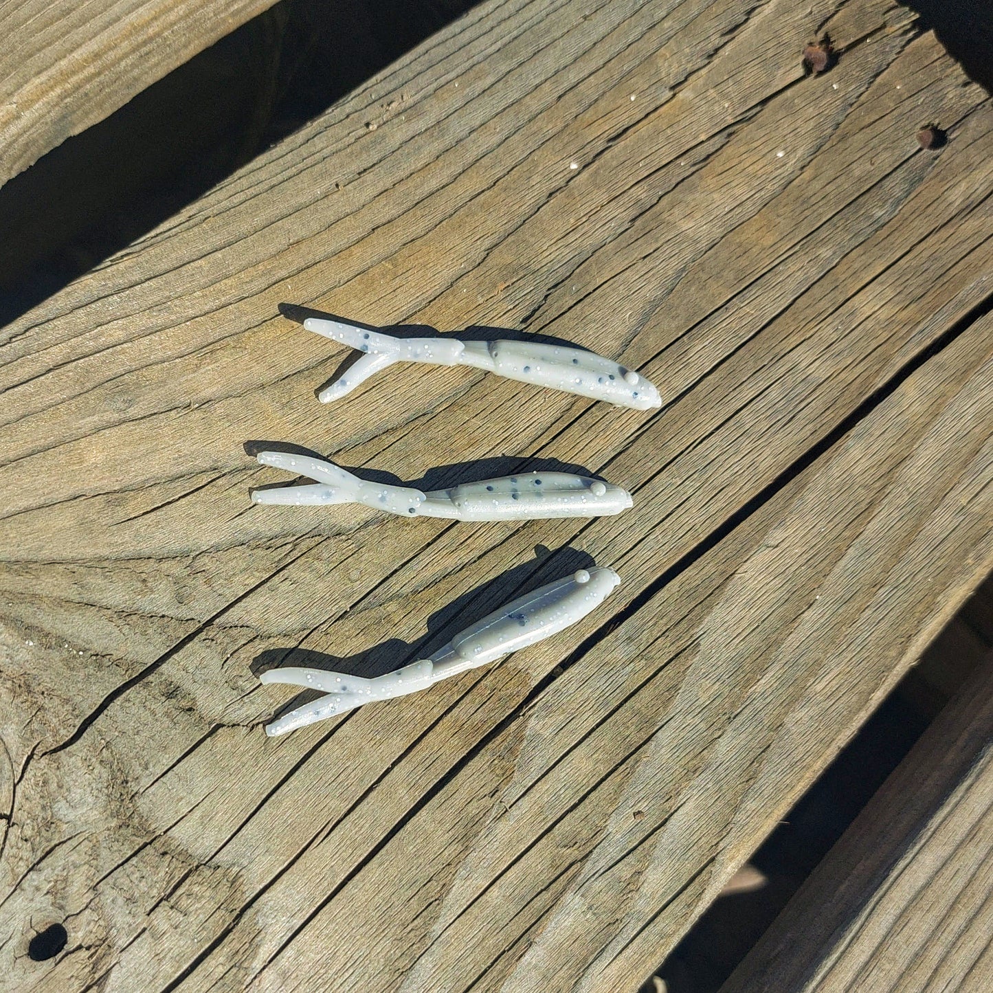 Grey 2" Minnows