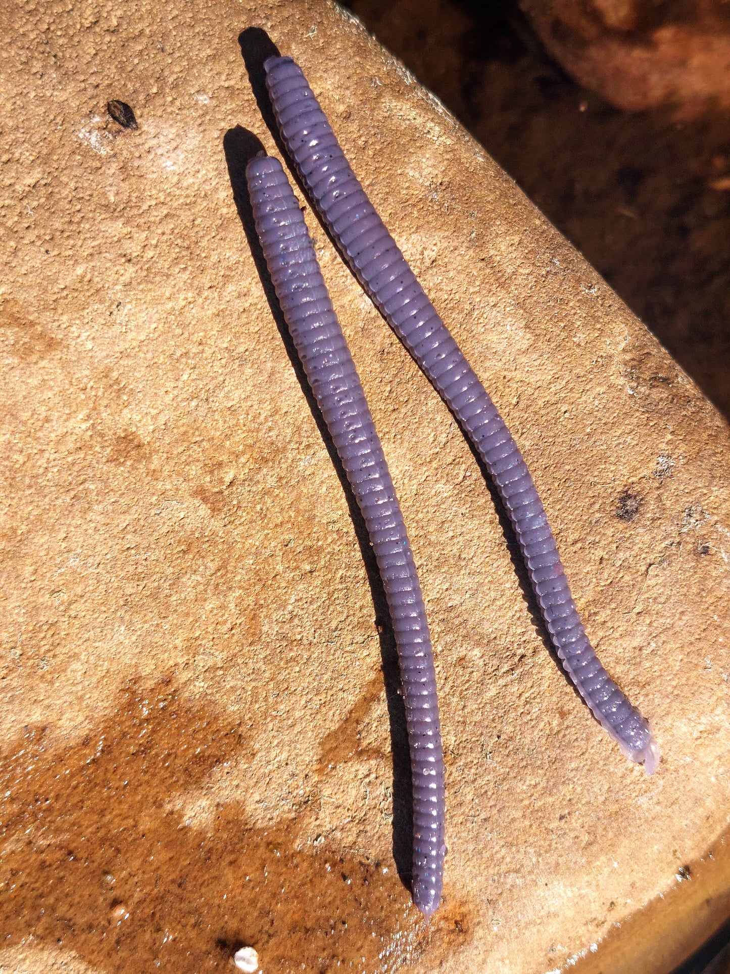 Lavender 3" Worms