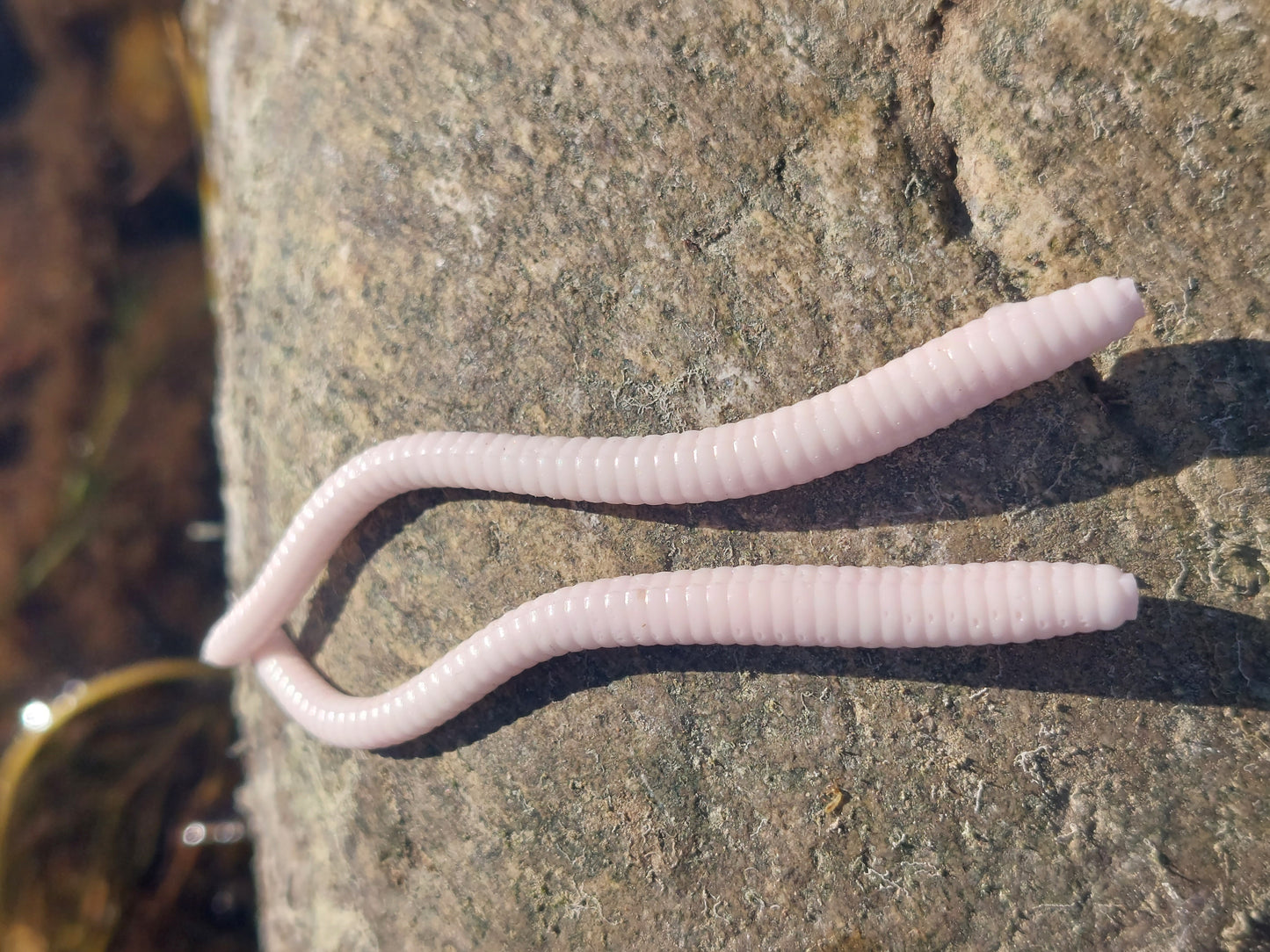 Putty 3" Worm