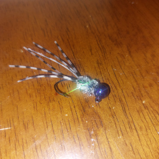 Blue short Silly Jig