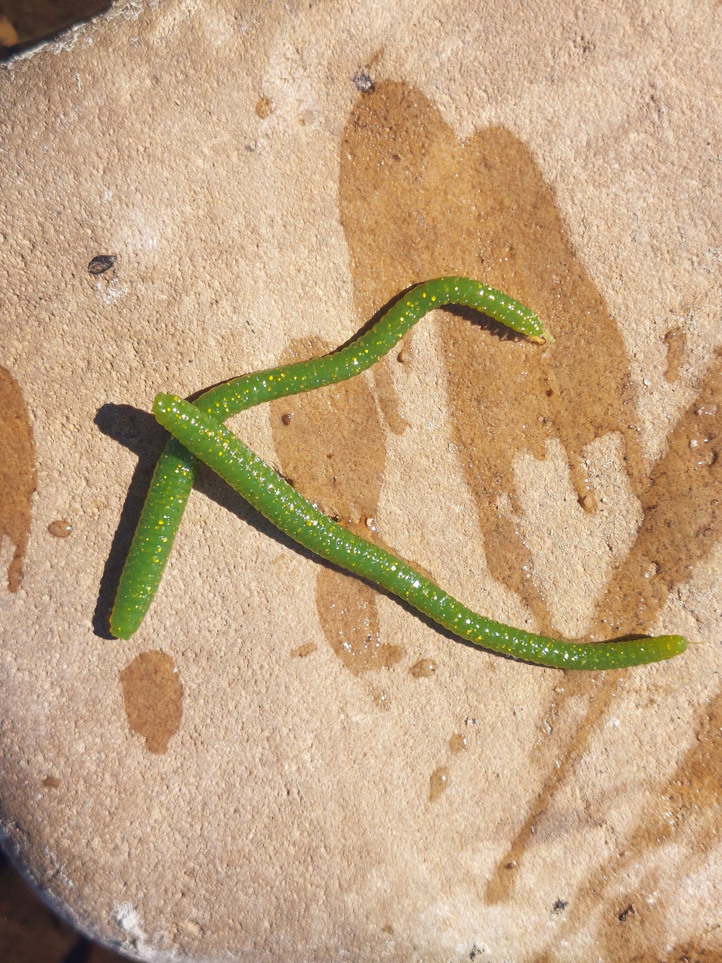 Green Party 3" Worms